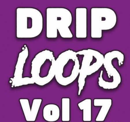 DiyMusicBiz Drip Loops Vol.17 WAV